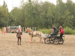 img_9500_web